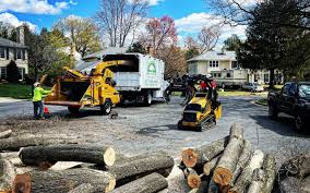 Seasonal Cleanup in Wabasha, MN